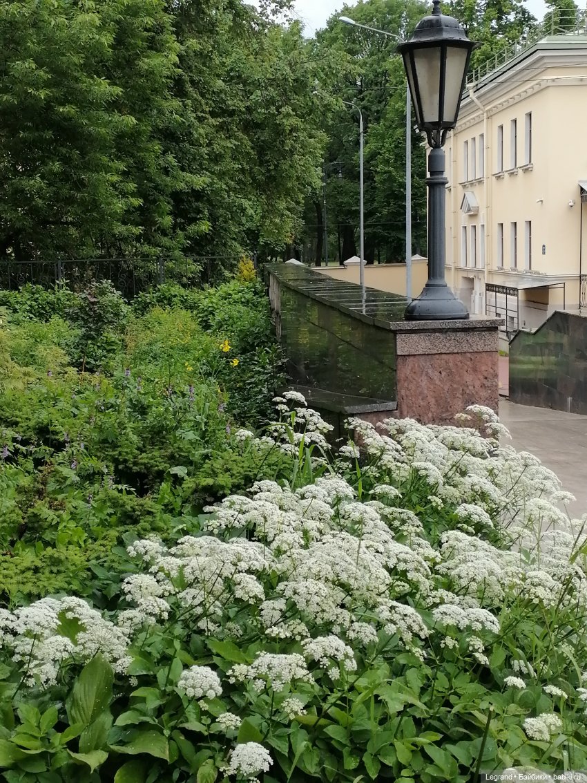 Санкт-Петербург: городские цветы и розовые фламинго - часть первая