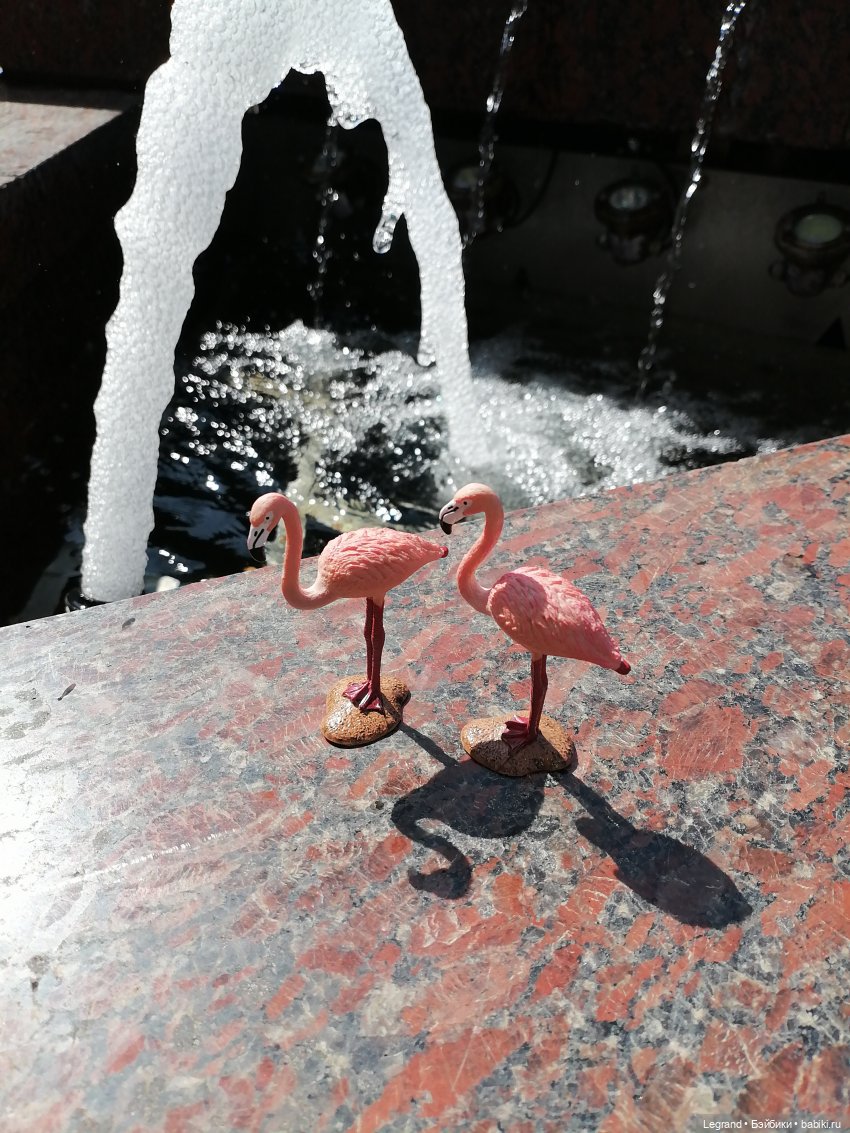 Санкт-Петербург: Берен и фламинго у фонтана и на набережной Невы
