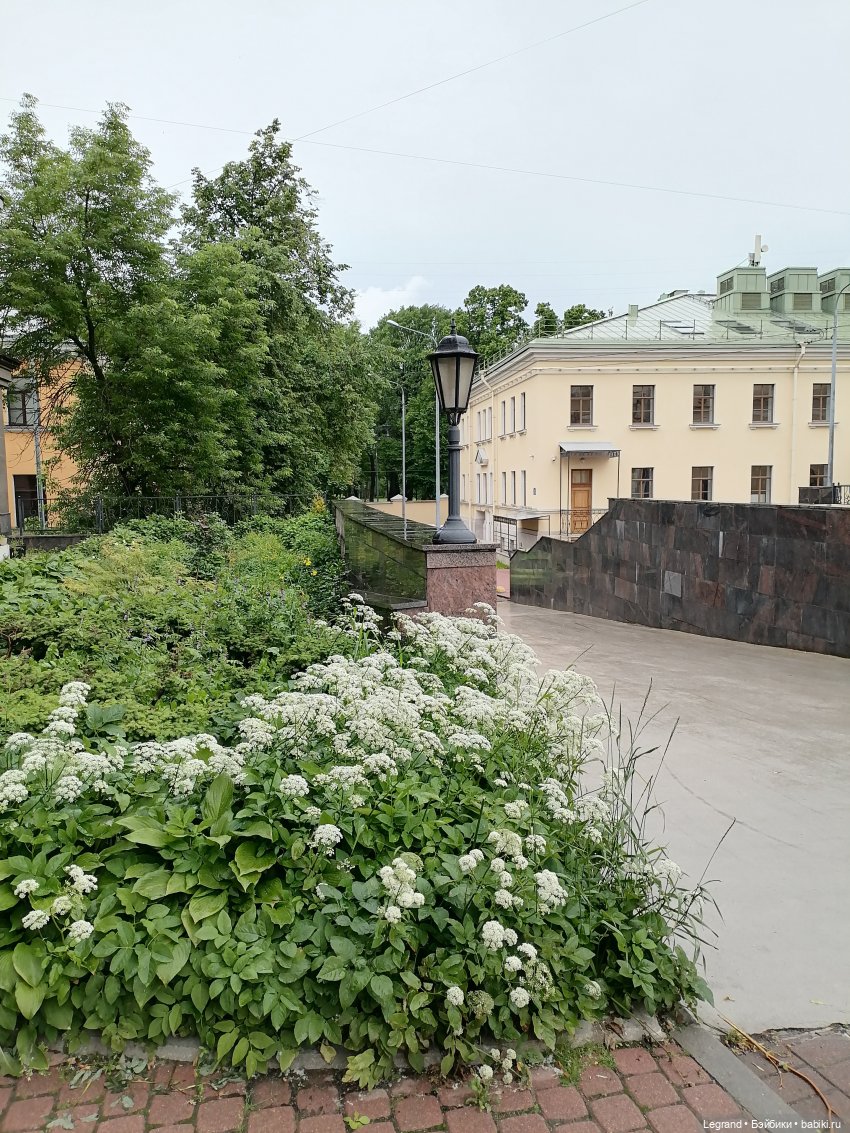 Санкт-Петербург: городские цветы и розовые фламинго - часть первая