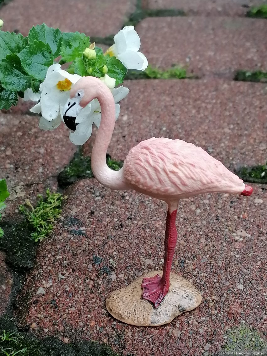 Санкт-Петербург: городские цветы и розовые фламинго - часть первая