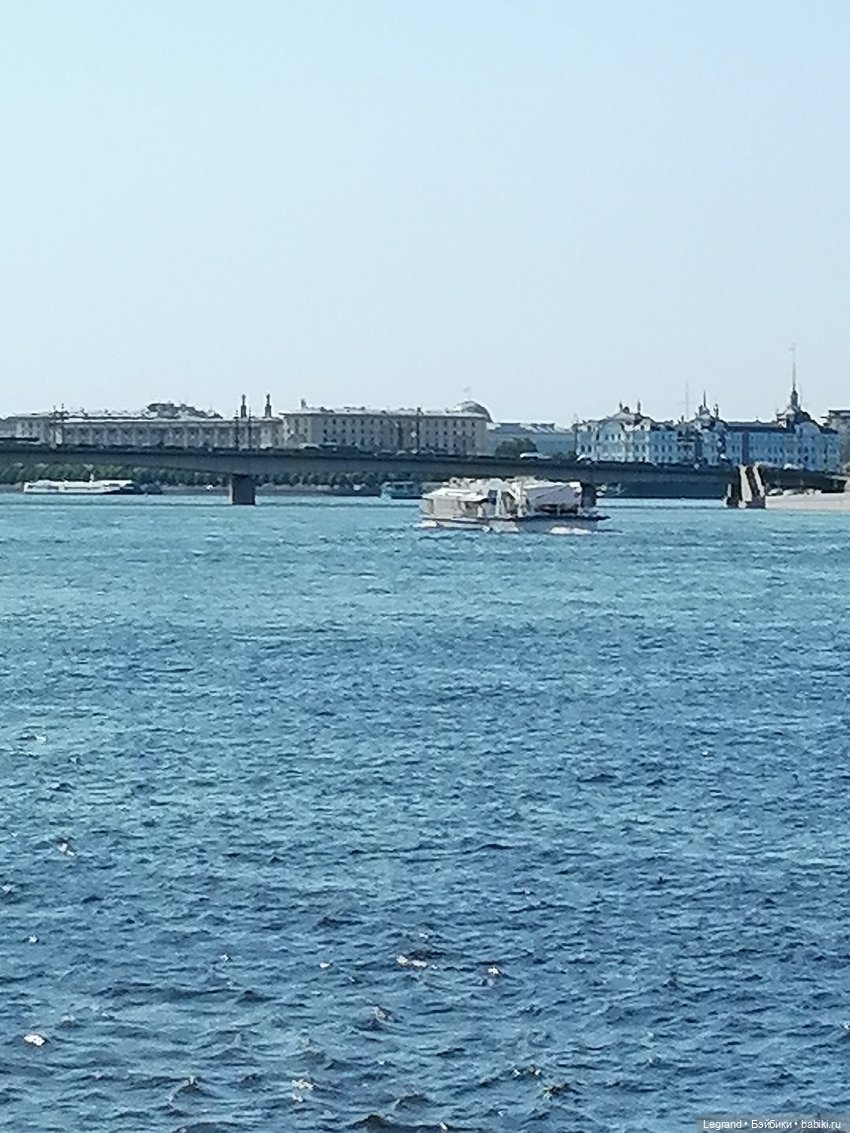 Санкт-Петербург: Берен и фламинго у фонтана и на набережной Невы