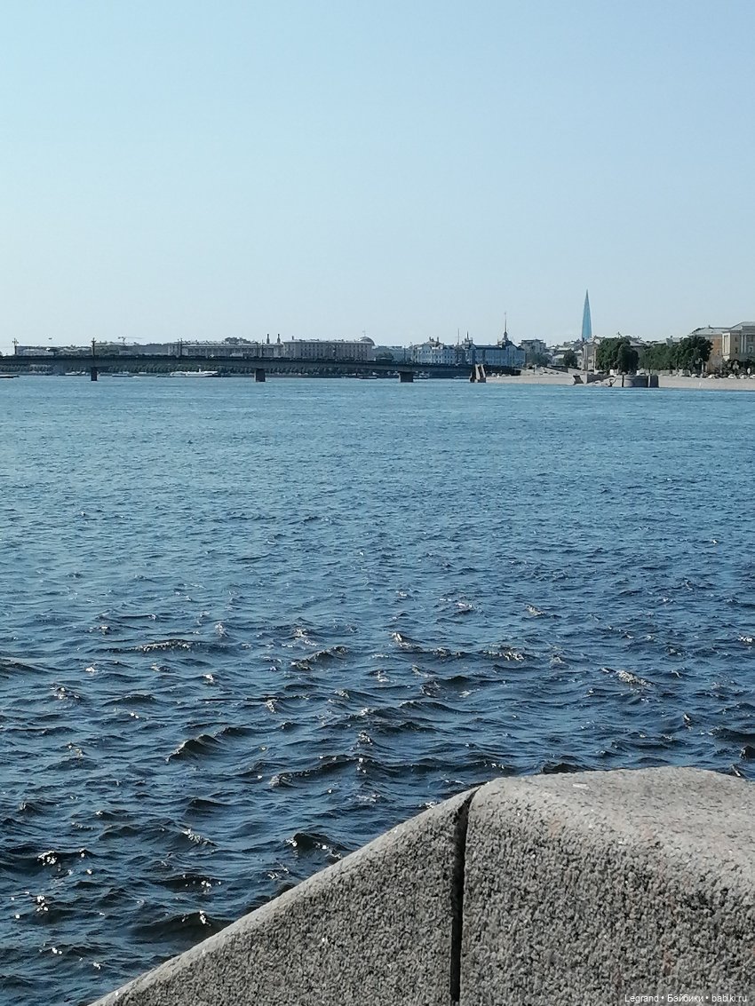 Санкт-Петербург: Берен и фламинго у фонтана и на набережной Невы