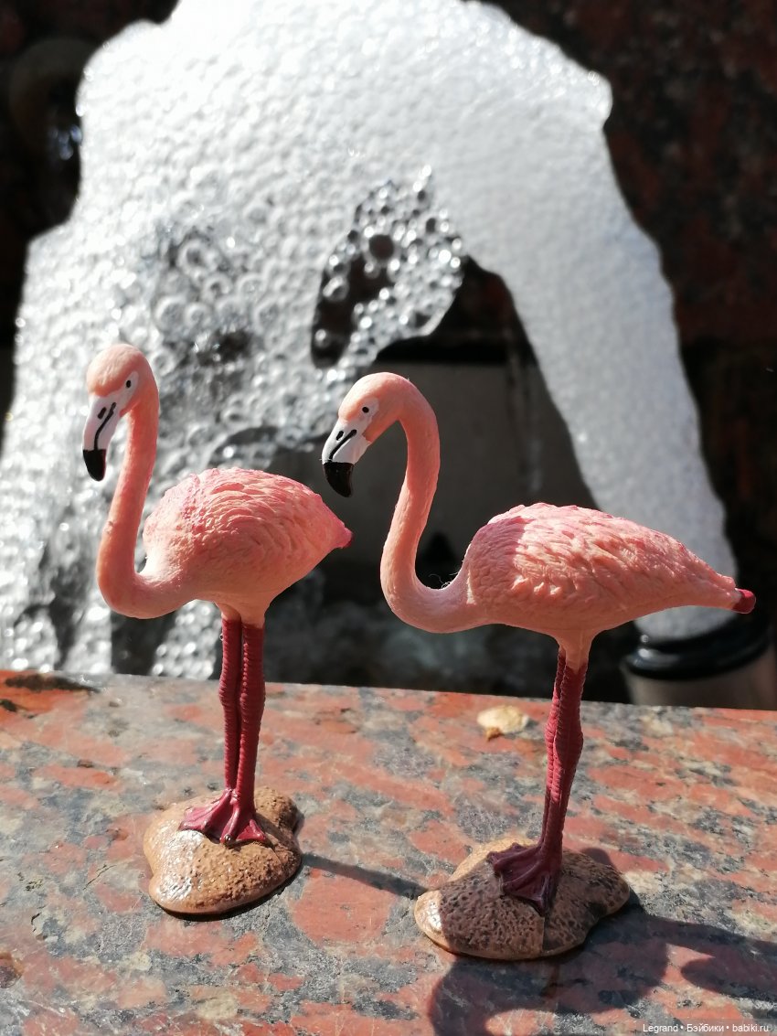 Санкт-Петербург: Берен и фламинго у фонтана и на набережной Невы