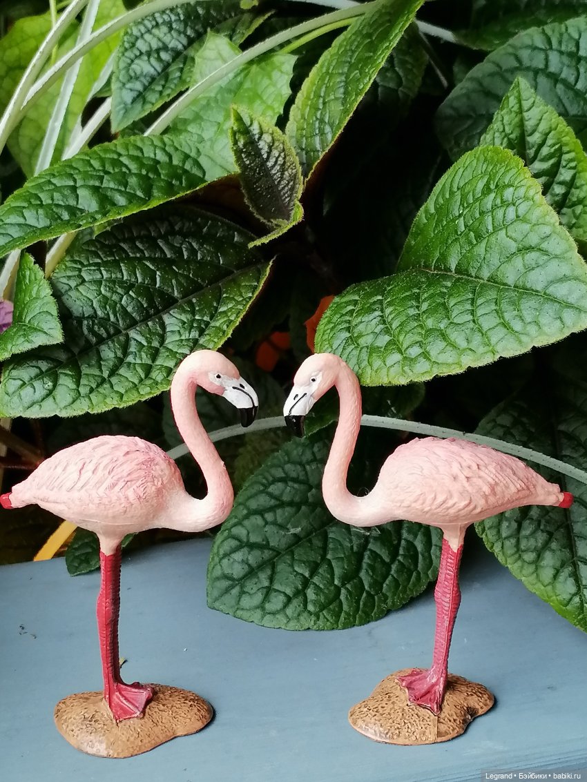 Санкт-Петербург: городские цветы и розовые фламинго - часть первая