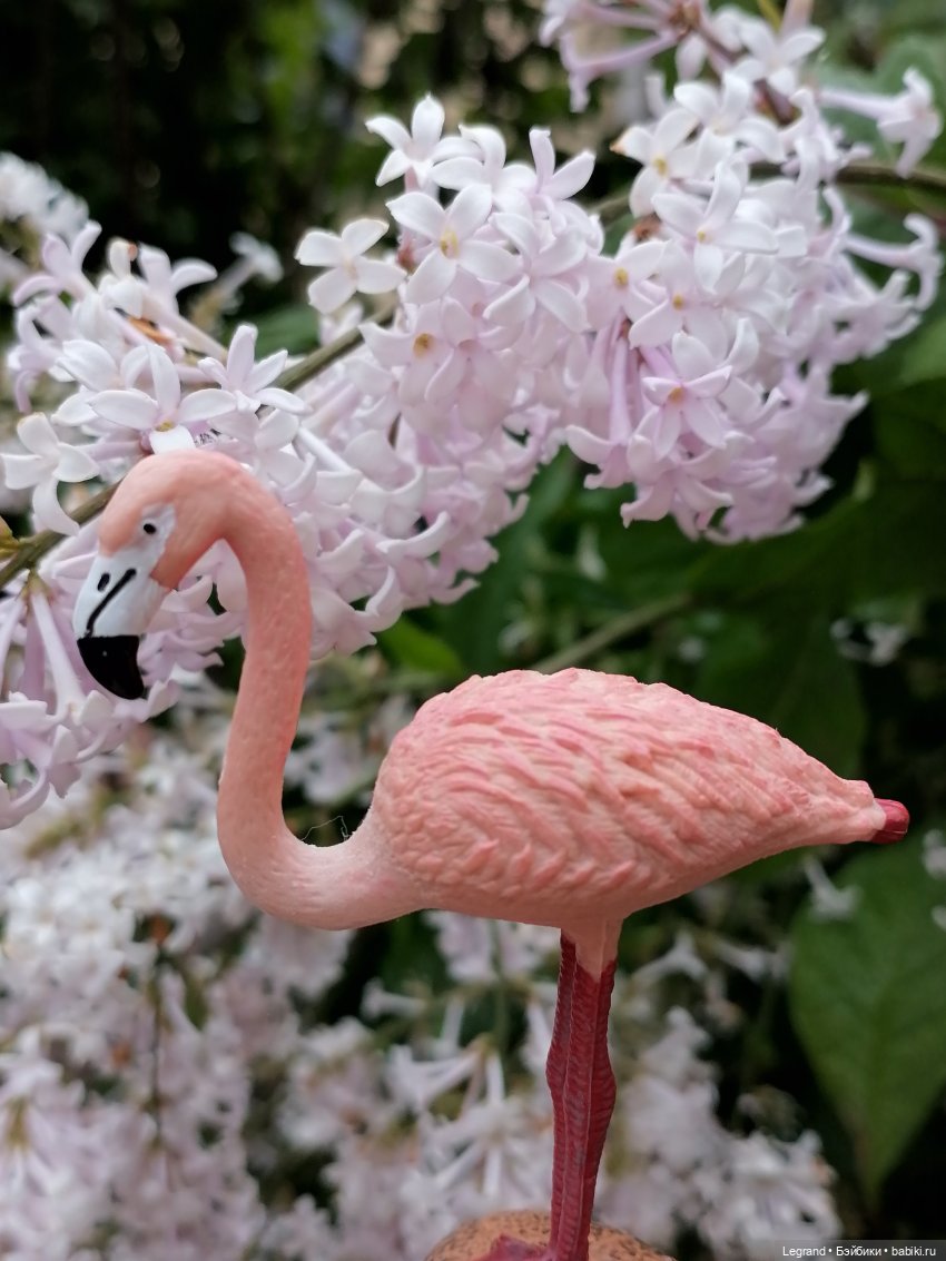 Санкт-Петербург: городские цветы и розовые фламинго - часть вторая (фото 5)