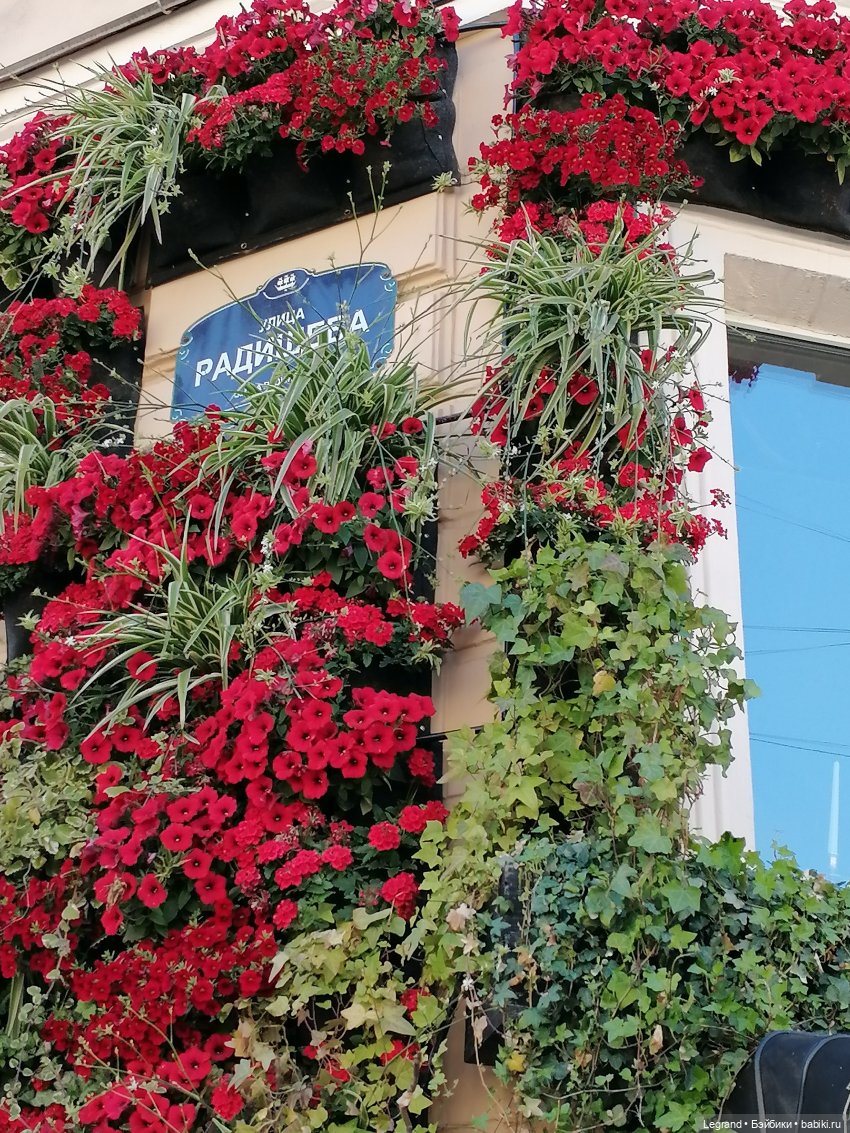 Санкт-Петербург: городские цветы и розовые фламинго - часть первая (фото 4)