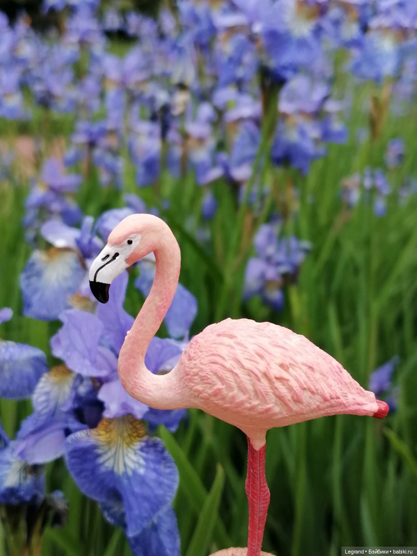 Санкт-Петербург: городские цветы и розовые фламинго - часть вторая