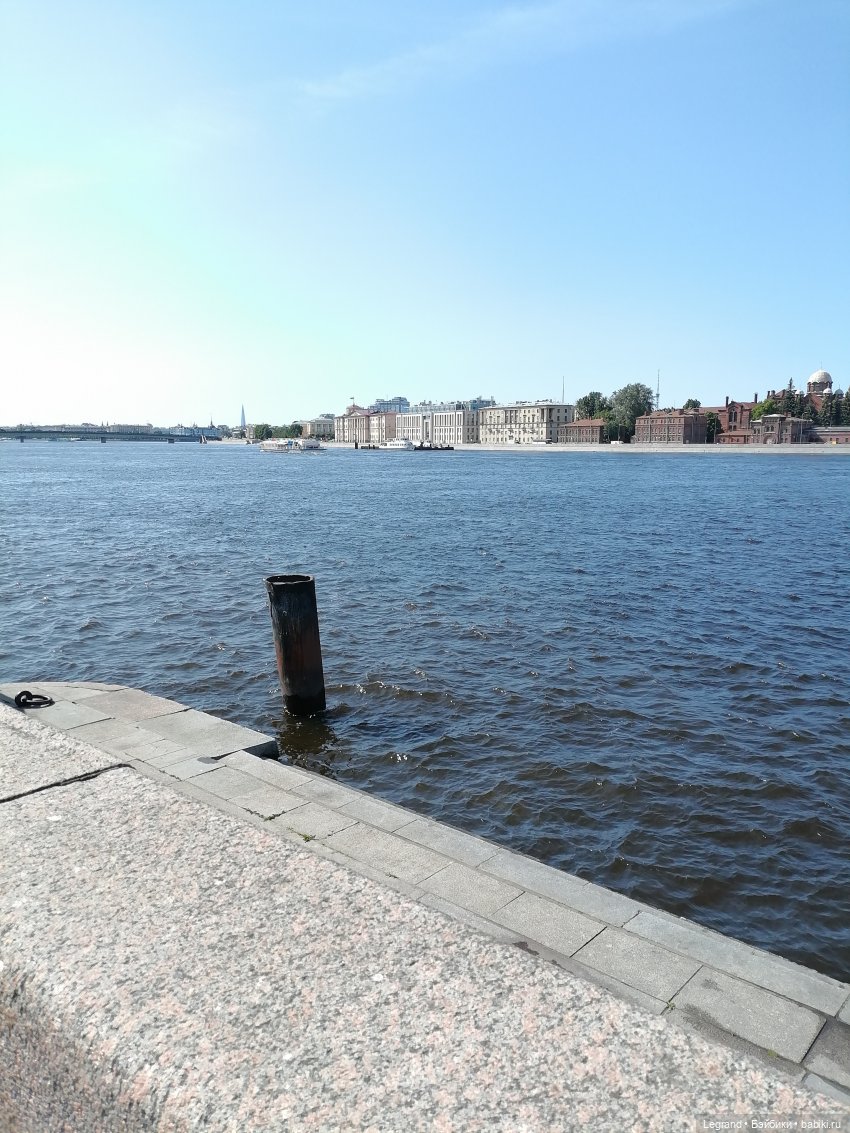 Санкт-Петербург: Берен и фламинго у фонтана и на набережной Невы