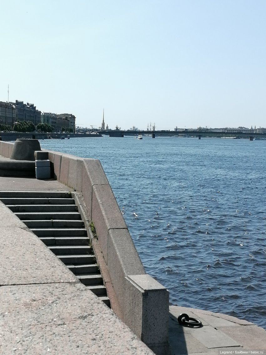 Санкт-Петербург: Берен и фламинго у фонтана и на набережной Невы