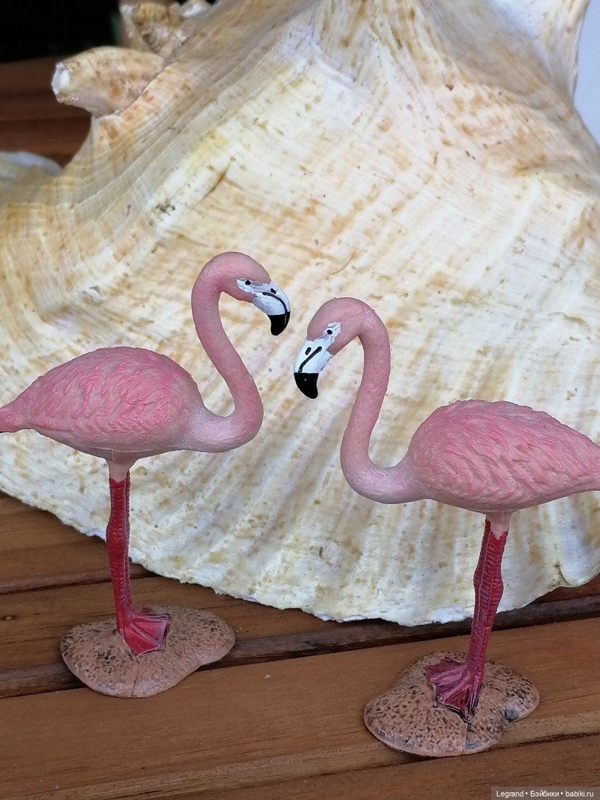 Санкт-Петербург: городские цветы и розовые фламинго - часть первая