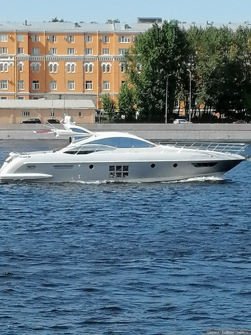 Санкт-Петербург: Берен и фламинго у фонтана и на набережной Невы