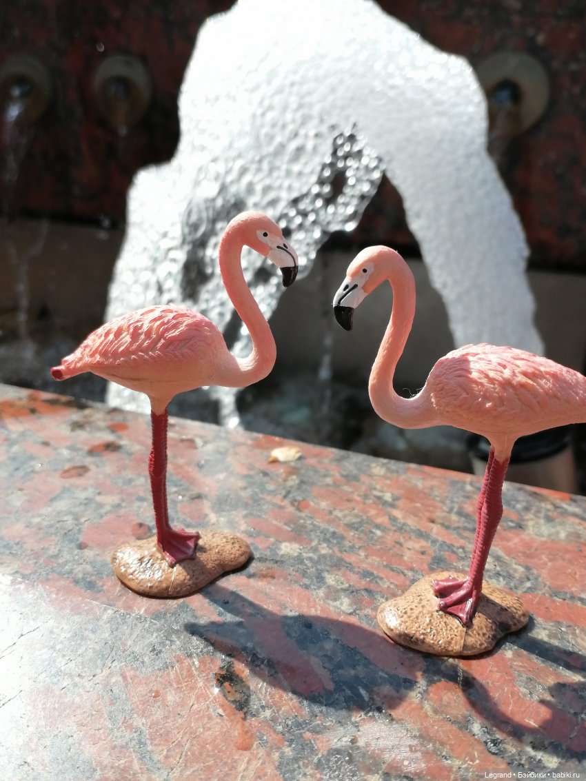 Санкт-Петербург: Берен и фламинго у фонтана и на набережной Невы