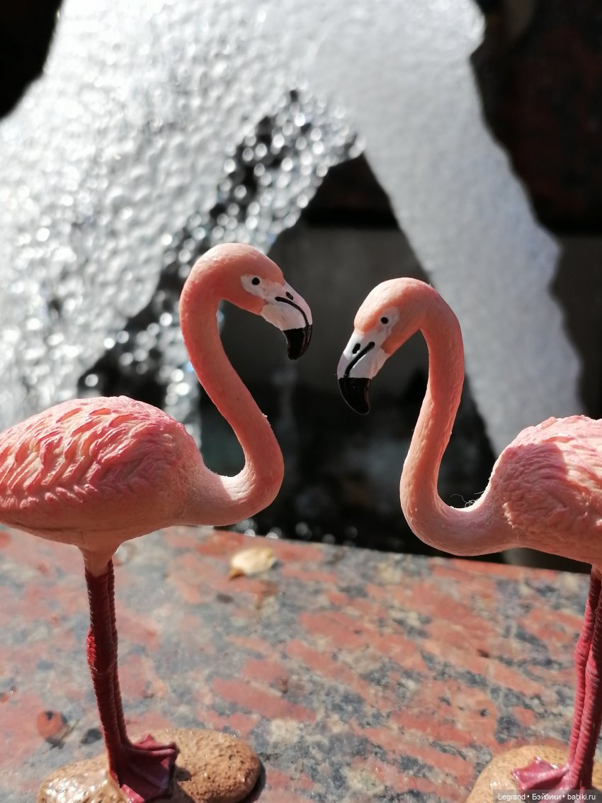 Санкт-Петербург: Берен и фламинго у фонтана и на набережной Невы