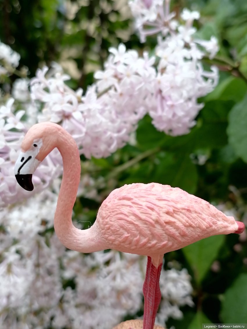 Санкт-Петербург: городские цветы и розовые фламинго - часть вторая (фото 4)