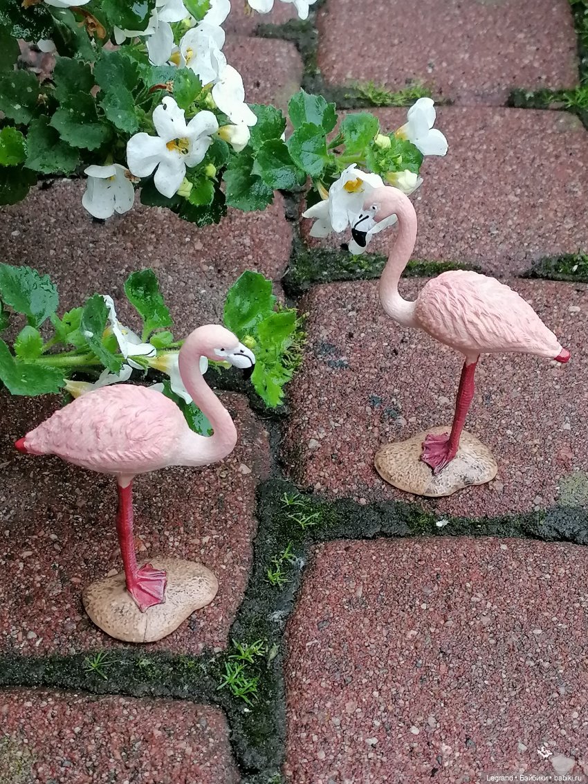Санкт-Петербург: городские цветы и розовые фламинго - часть первая