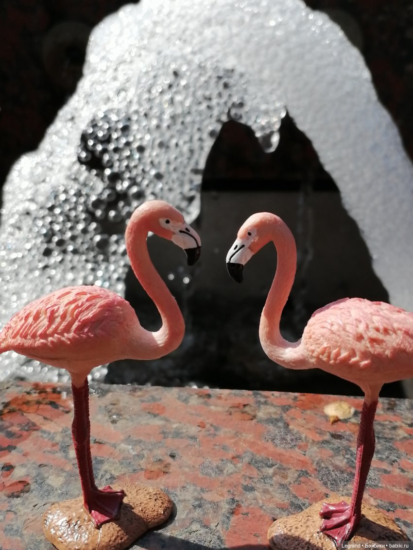 Санкт-Петербург: Берен и фламинго у фонтана и на набережной Невы
