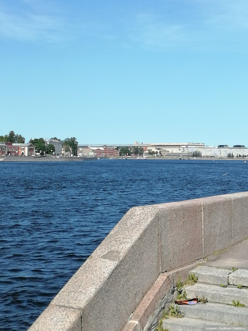 Санкт-Петербург: Берен и фламинго у фонтана и на набережной Невы