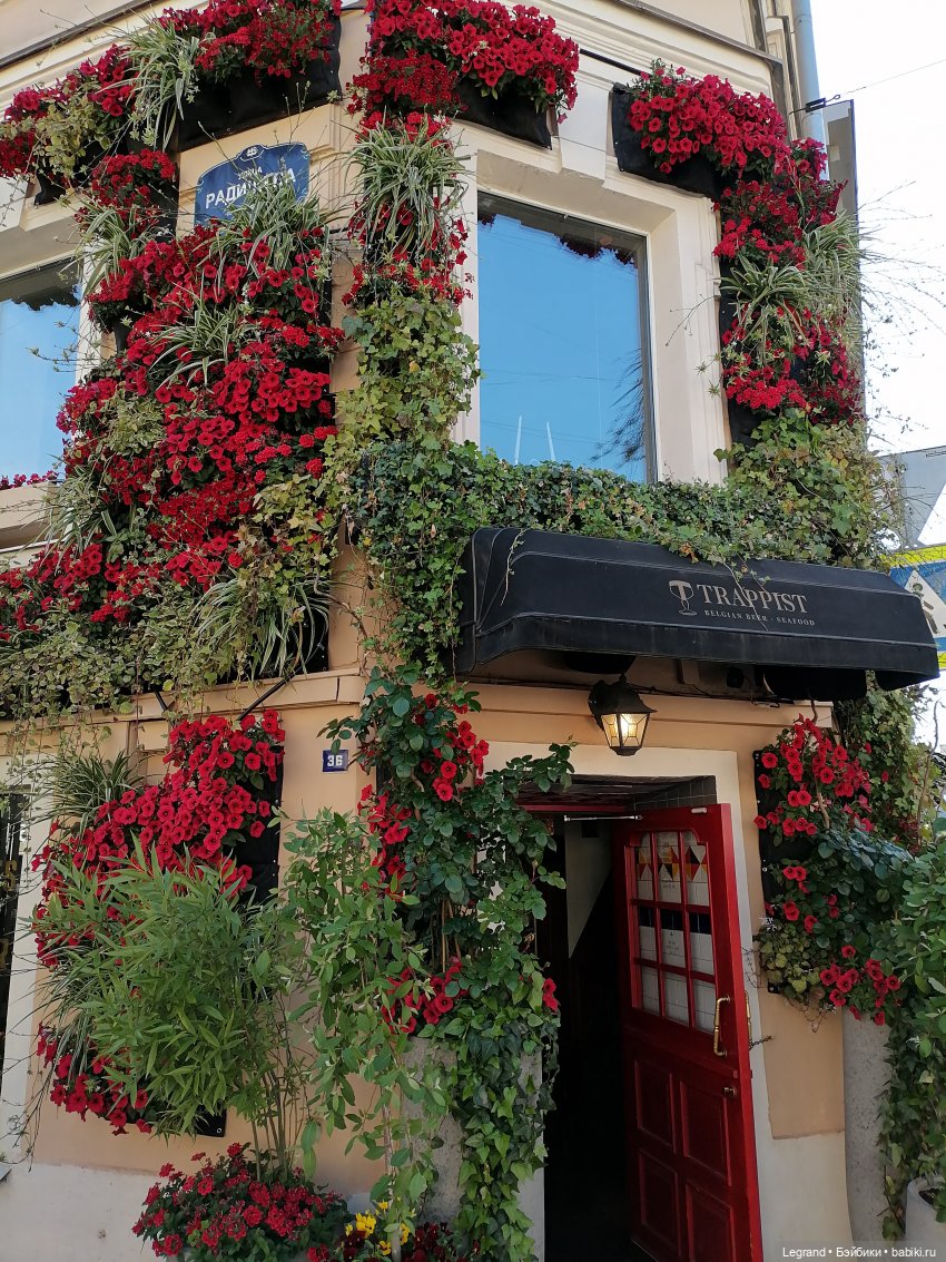 Санкт-Петербург: городские цветы и розовые фламинго - часть первая (фото 3)