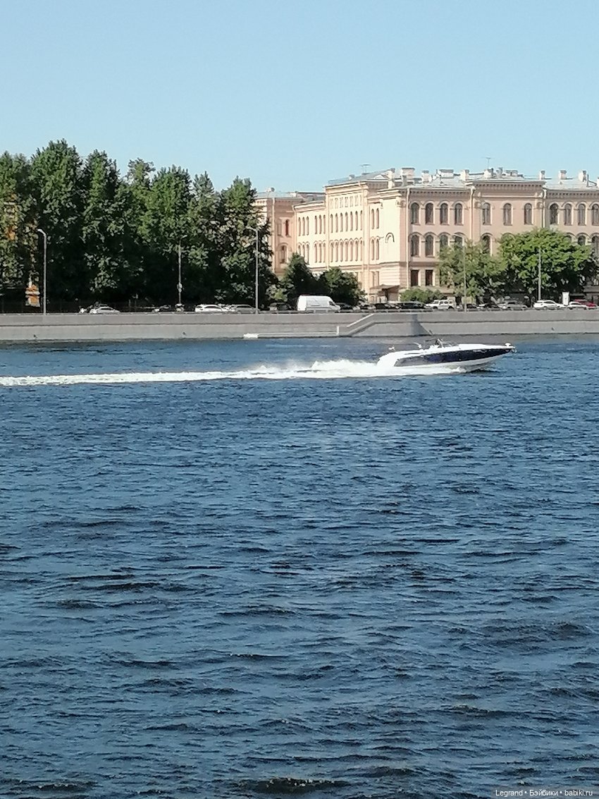 Санкт-Петербург: Берен и фламинго у фонтана и на набережной Невы