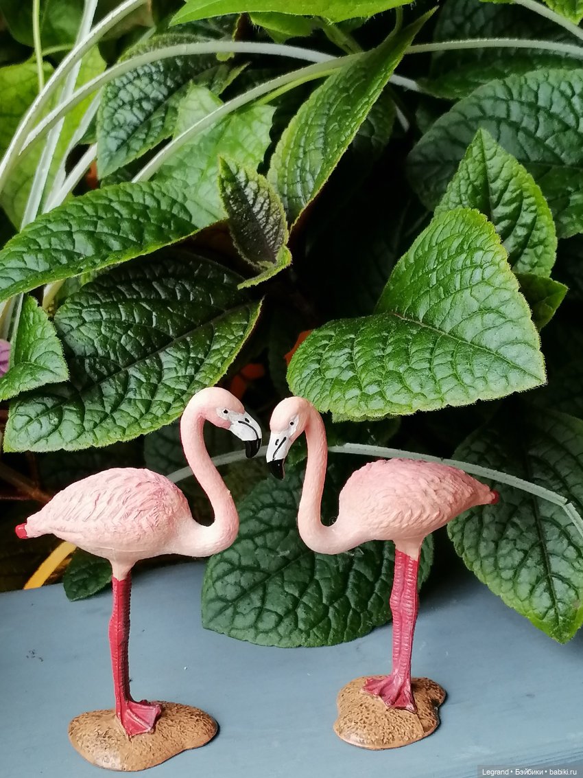 Санкт-Петербург: городские цветы и розовые фламинго - часть первая