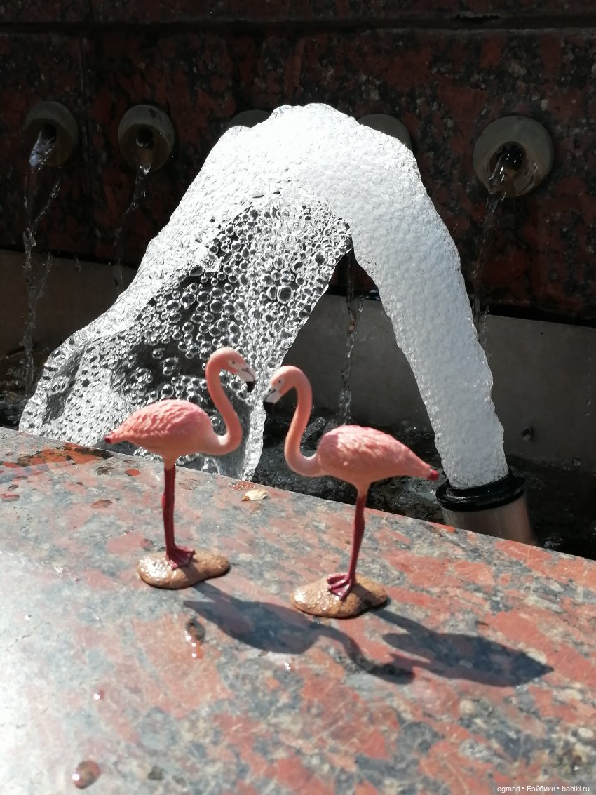 Санкт-Петербург: Берен и фламинго у фонтана и на набережной Невы