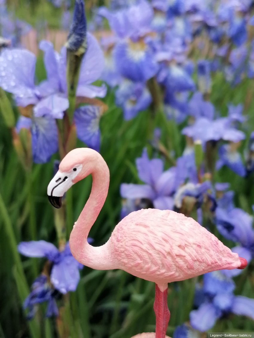 Санкт-Петербург: городские цветы и розовые фламинго - часть вторая