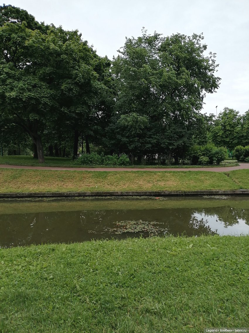 Санкт-Петербург: городские цветы и розовые фламинго - часть вторая (фото 10)