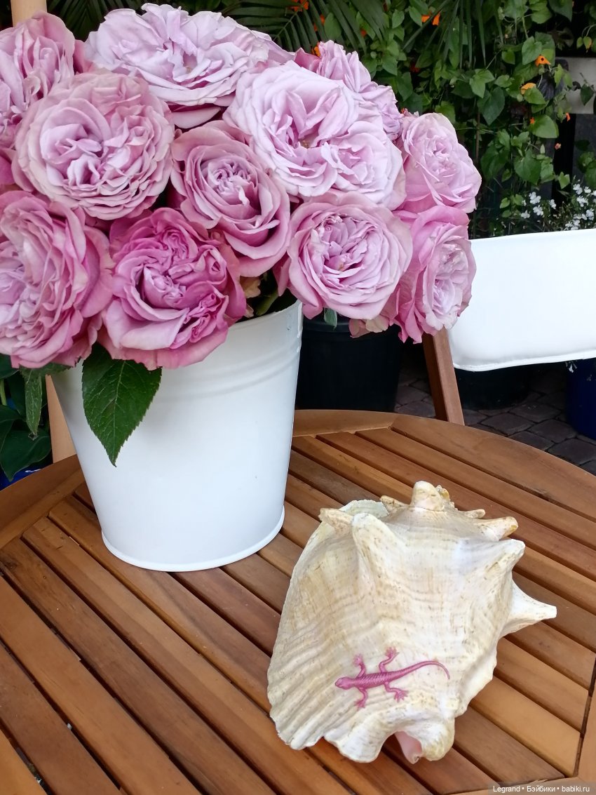 Лурения - Петербург: Шахзода, Пинки и Отто в Парадном