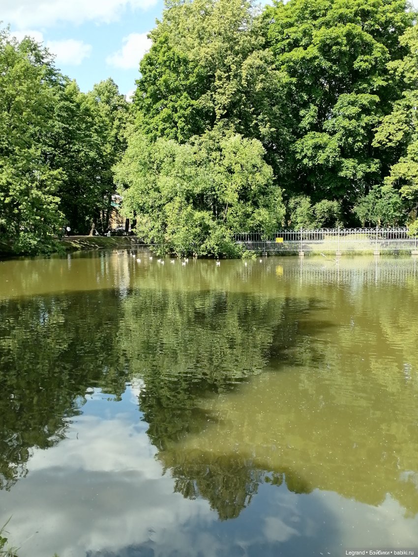 Лурения - Петербург: Шахзода у пруда в Таврическом саду (фото 4)