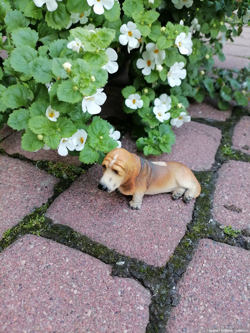 Лурения - Петербург: Шахзода, Пинки и Отто в Парадном