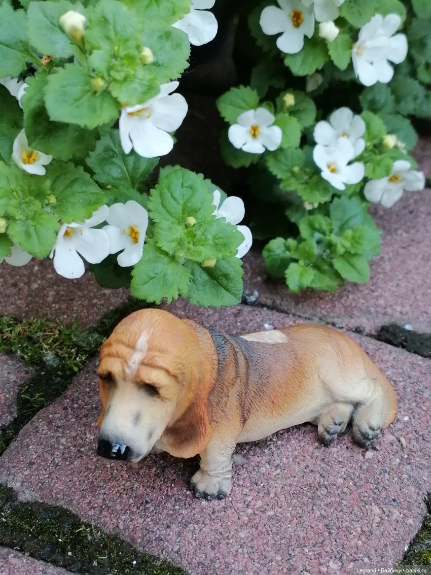 Лурения - Петербург: Шахзода, Пинки и Отто в Парадном