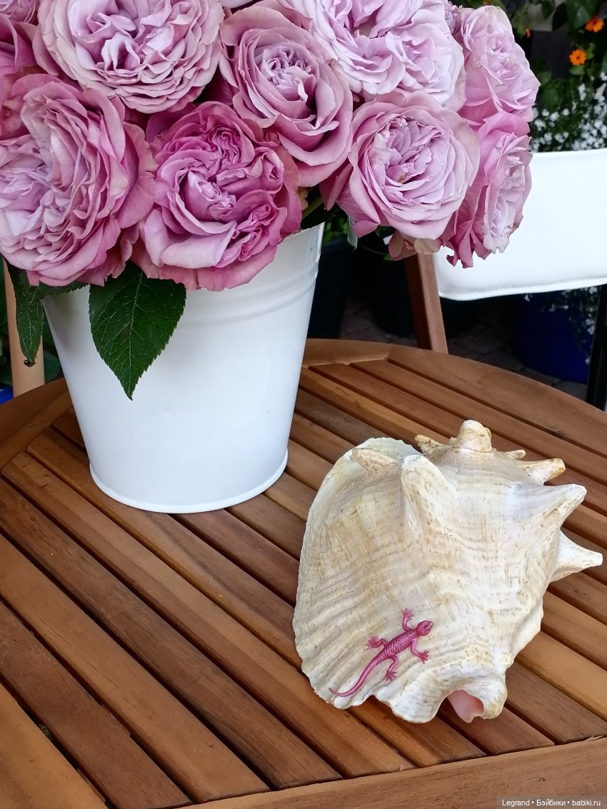 Лурения - Петербург: Шахзода, Пинки и Отто в Парадном