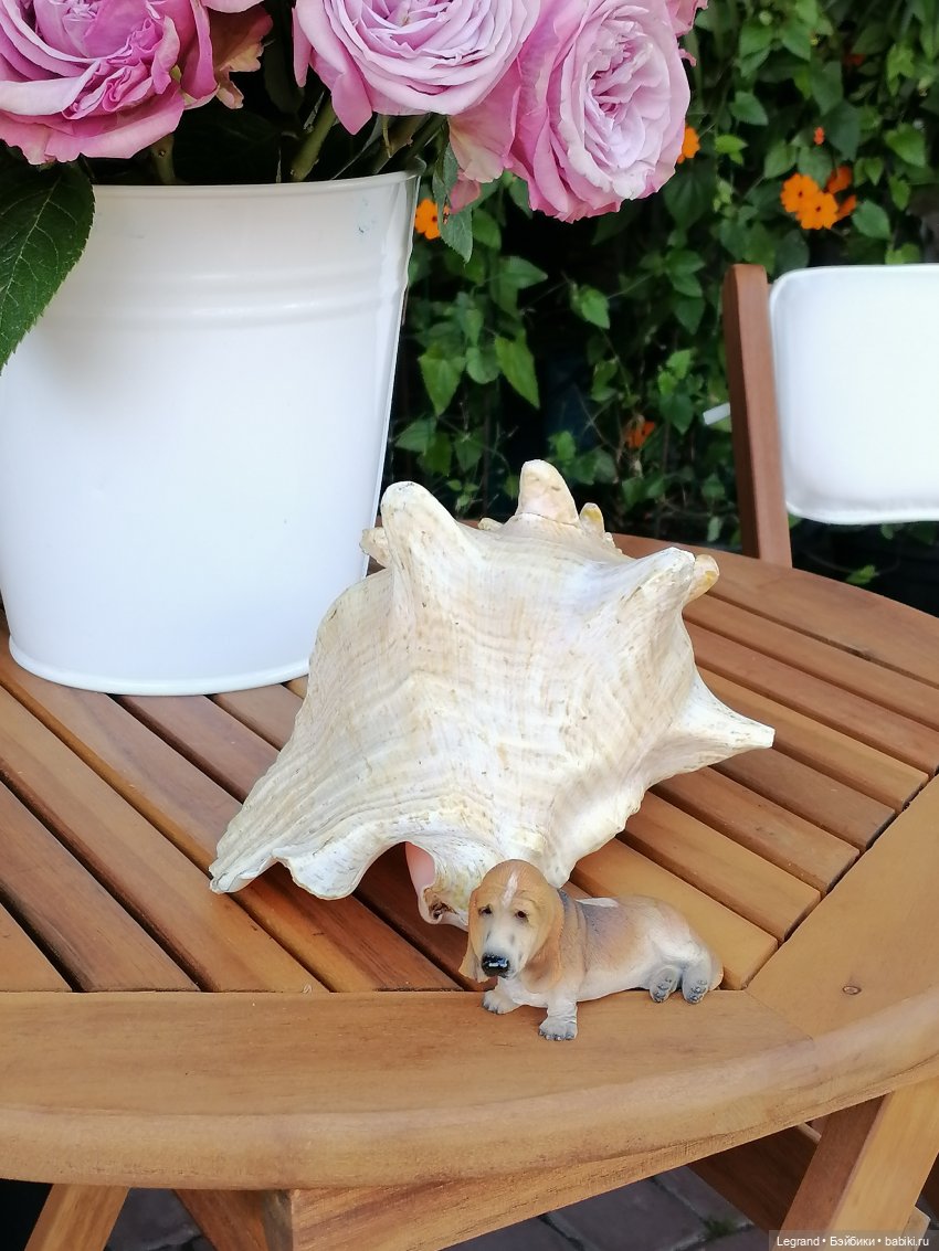 Лурения - Петербург: Шахзода, Пинки и Отто в Парадном