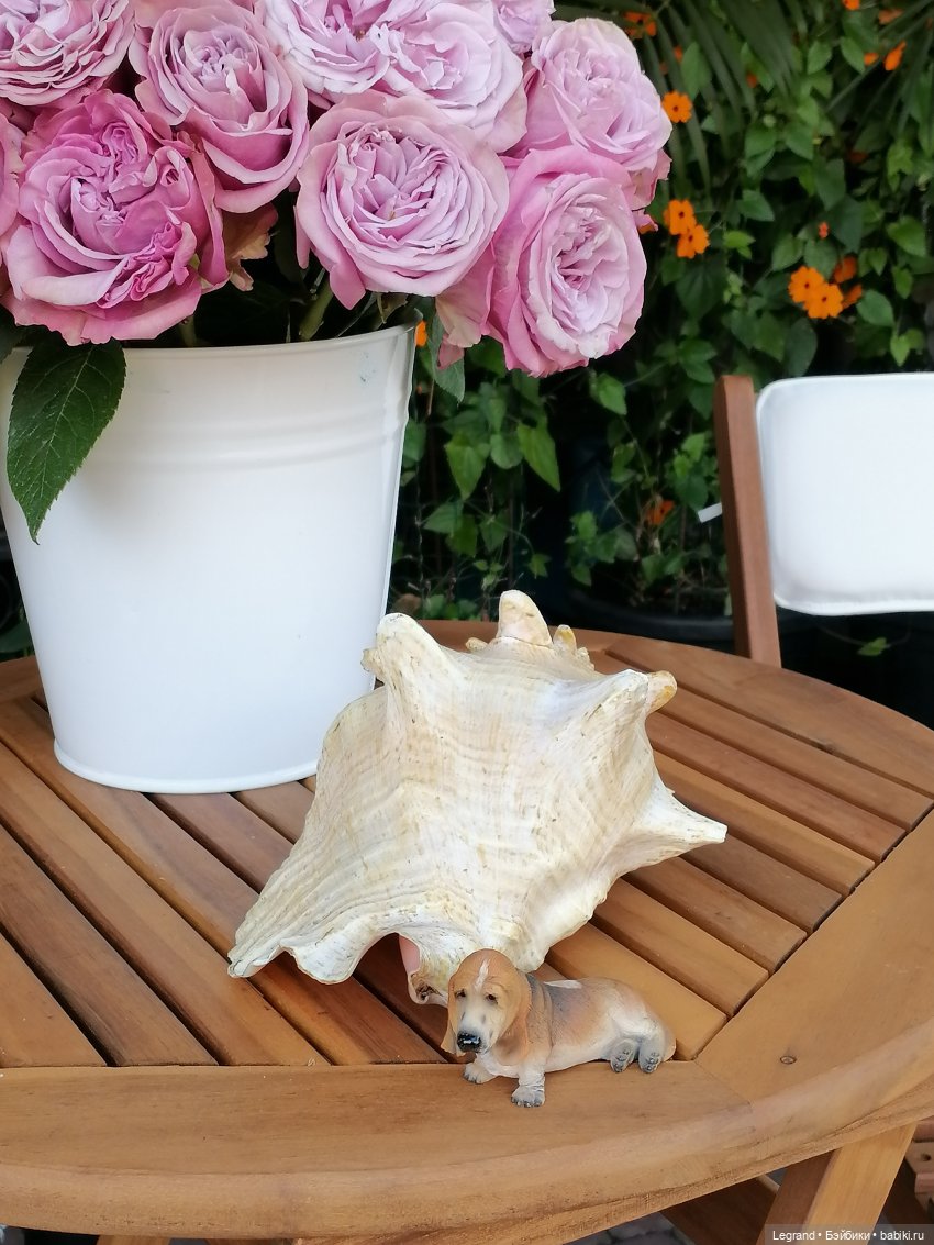 Лурения - Петербург: Шахзода, Пинки и Отто в Парадном