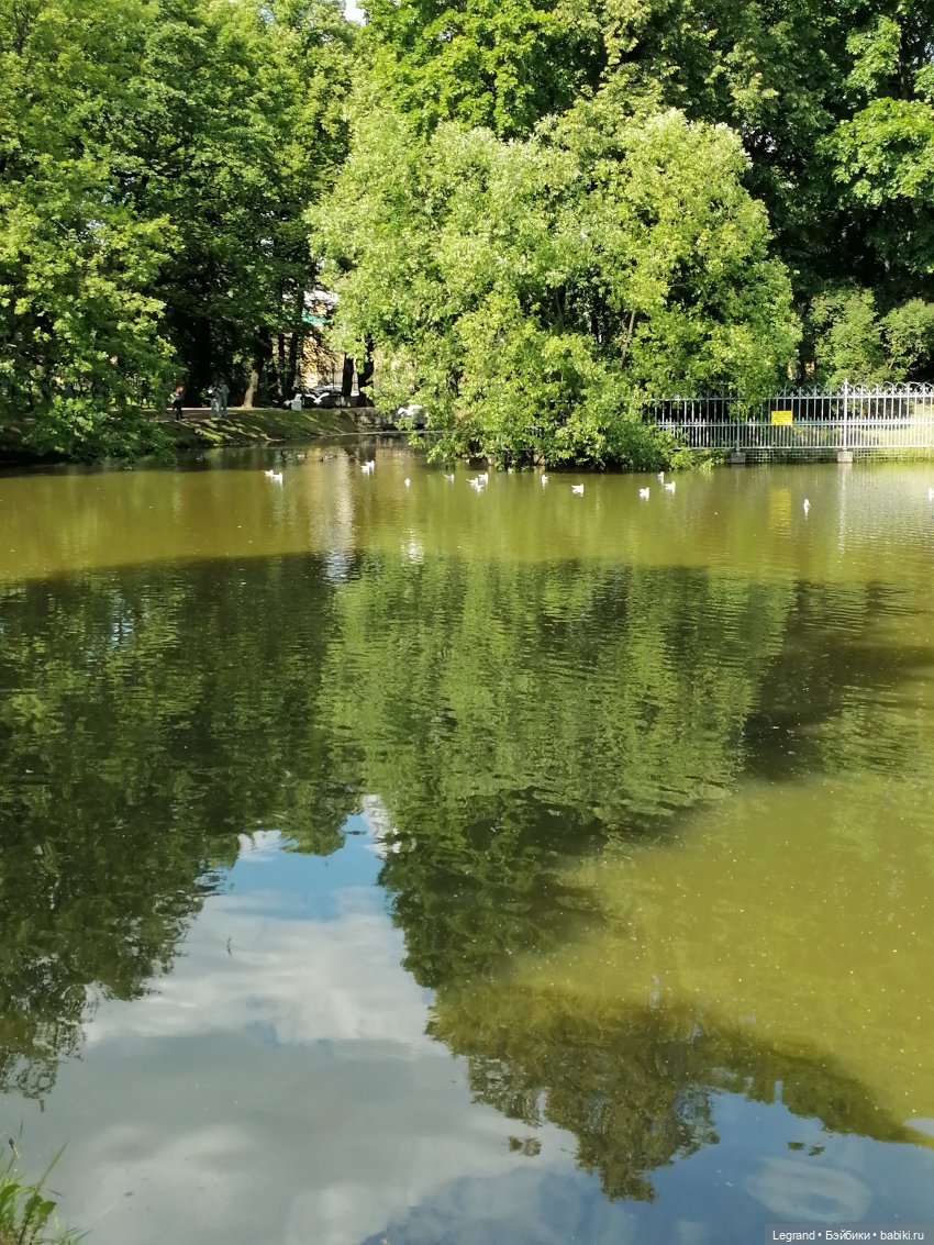 Лурения - Петербург: Шахзода у пруда в Таврическом саду (фото 8)