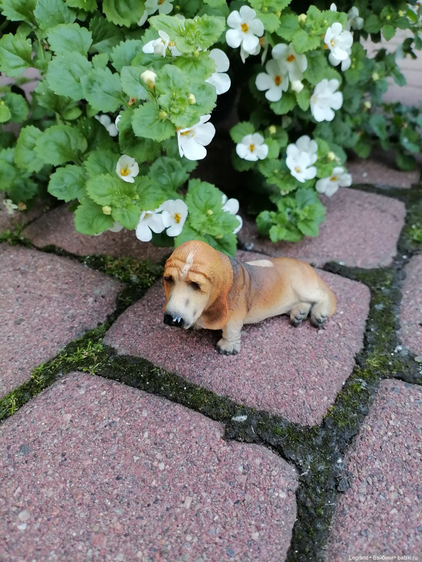 Лурения - Петербург: Шахзода, Пинки и Отто в Парадном