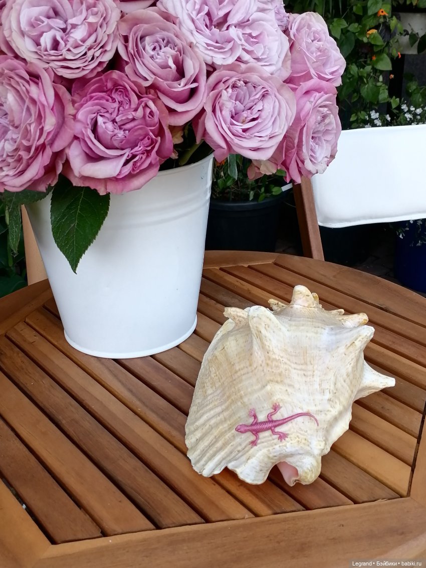 Лурения - Петербург: Шахзода, Пинки и Отто в Парадном