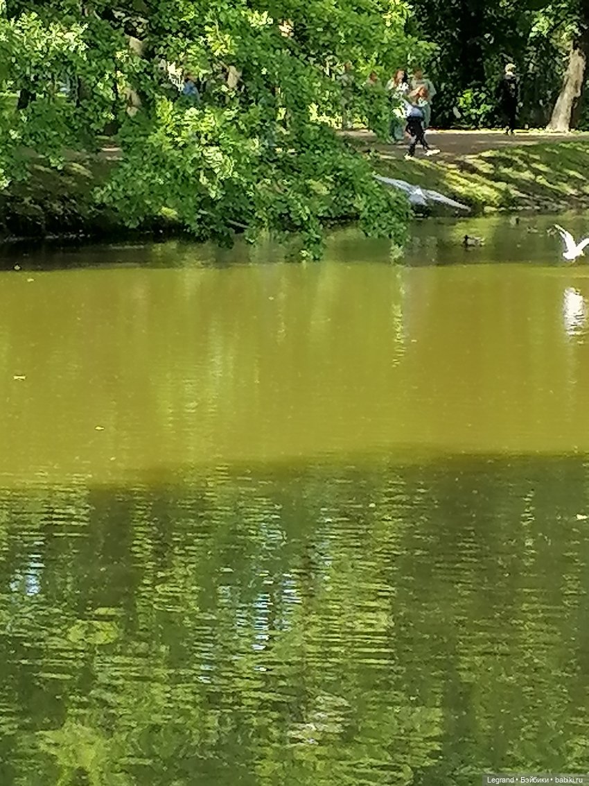 Лурения - Петербург: Шахзода у пруда в Таврическом саду (фото 7)