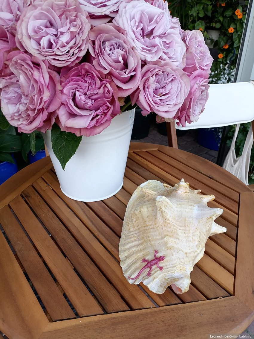 Лурения - Петербург: Шахзода, Пинки и Отто в Парадном