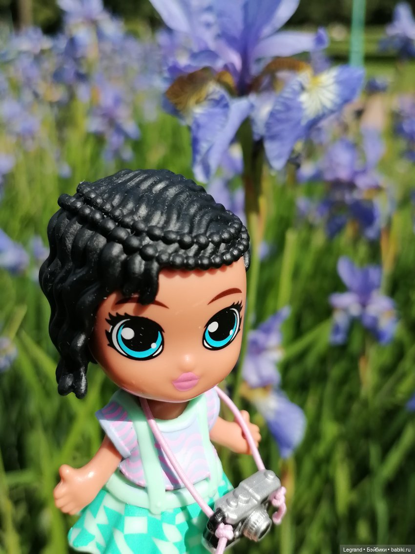 Санкт-Петербург - Таврический сад: Берен и ирисы