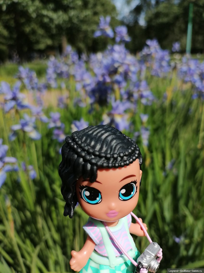 Санкт-Петербург - Таврический сад: Берен и ирисы