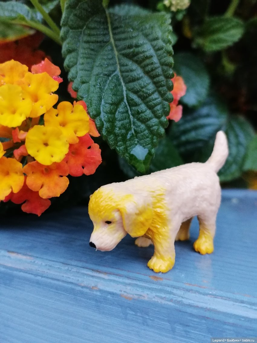 Лурения - Петербург: прогулка с питомцами под дождём