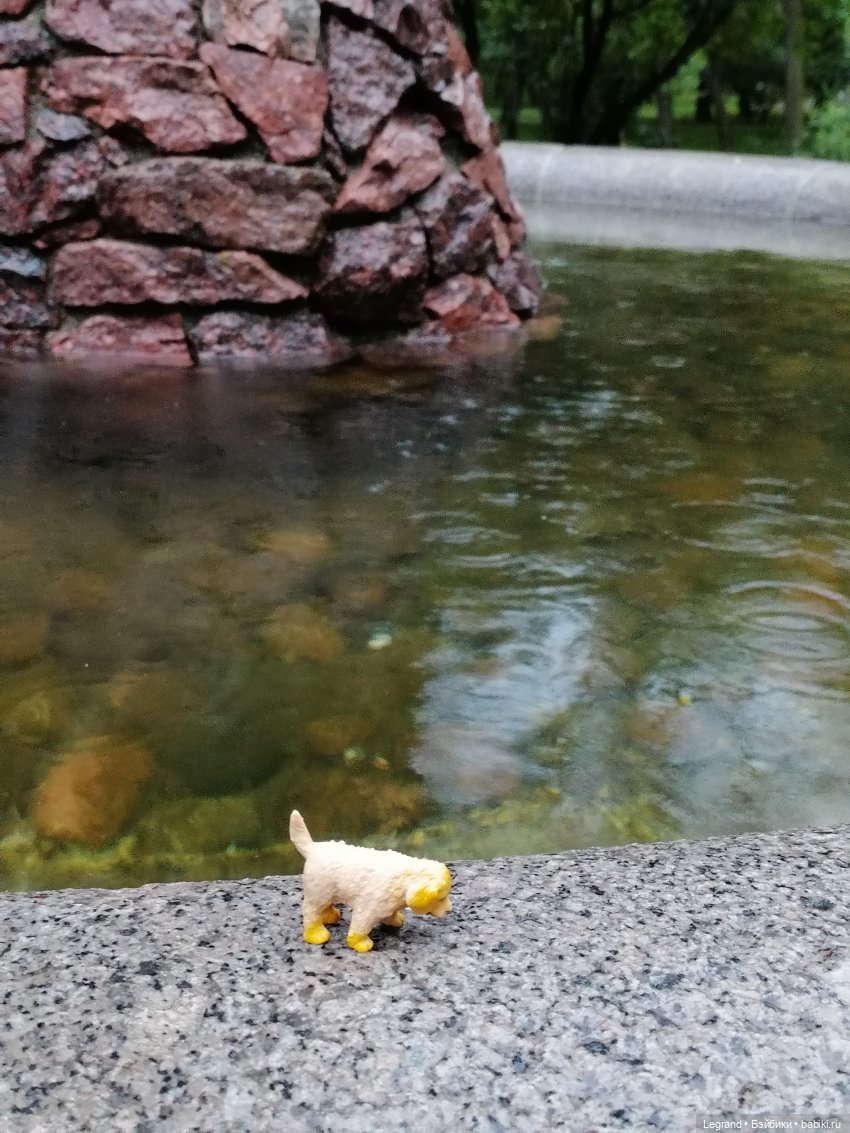 Лурения - Петербург: прогулка с питомцами под дождём