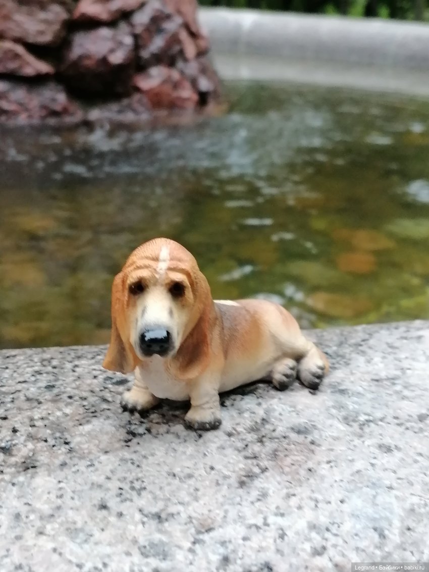 Лурения - Петербург: Отто и июньские цветы - часть вторая