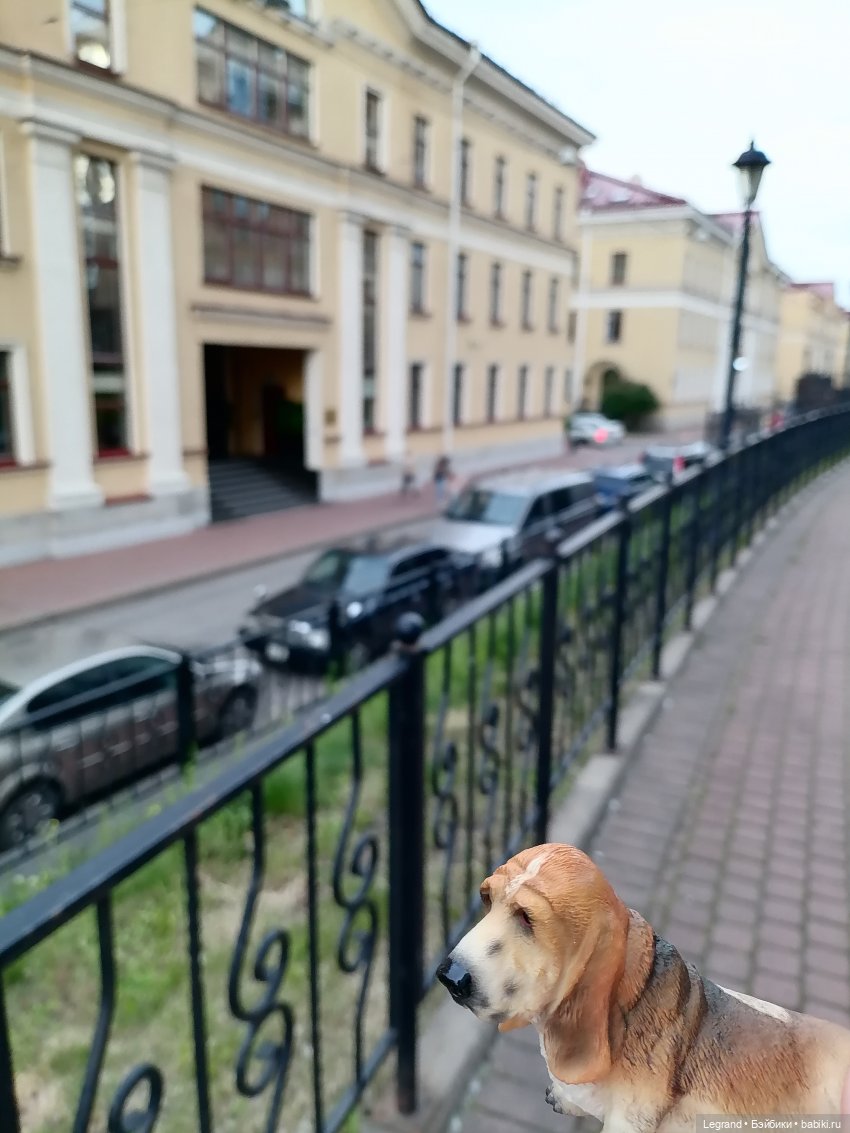 Лурения - Петербург: Отто и июньские цветы - часть вторая