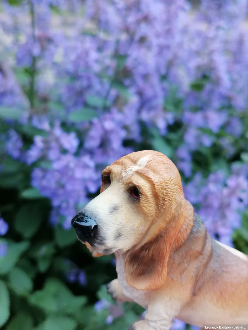 Лурения - Петербург: Отто и июньские цветы - часть вторая