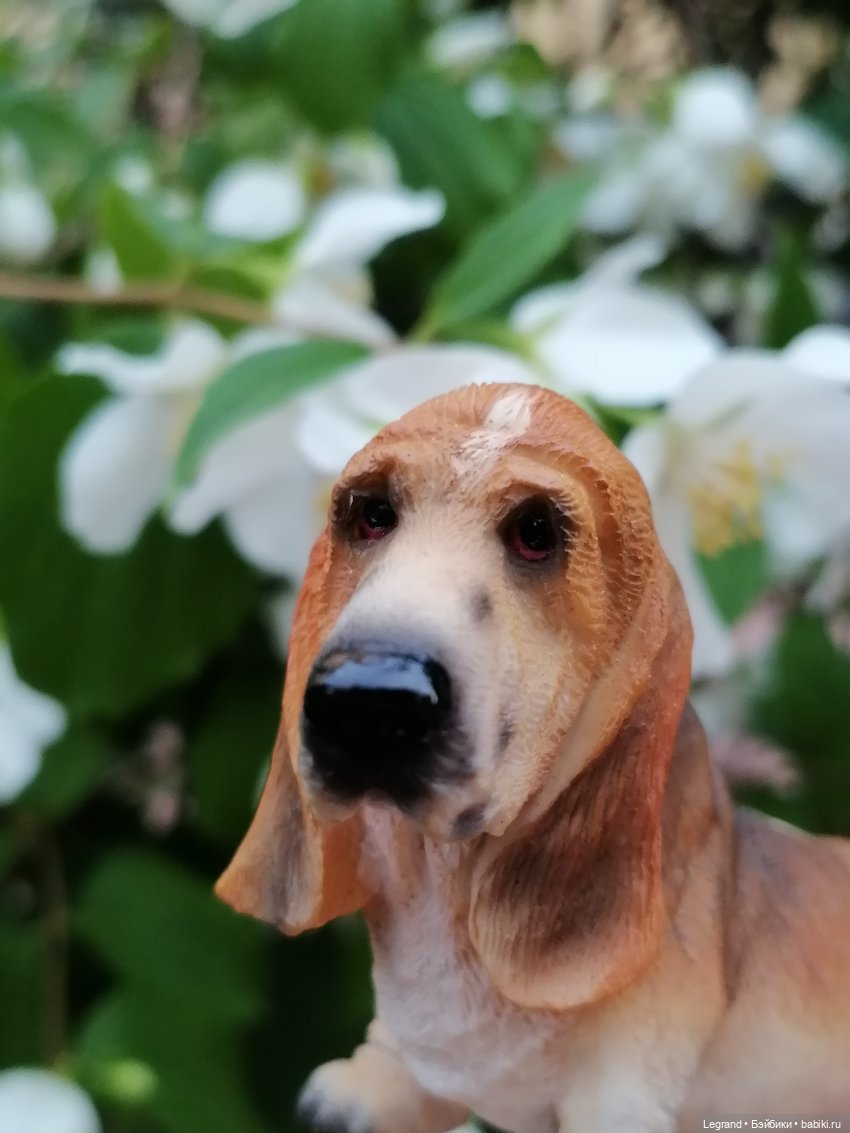 Лурения - Петербург: Отто и июньские цветы - часть вторая