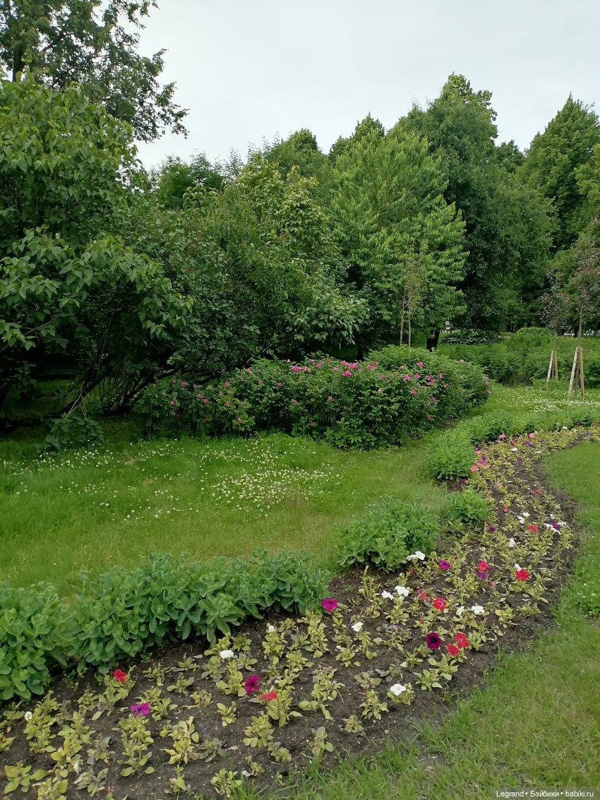 Лурения - Петербург: Отто и июньские цветы - часть вторая