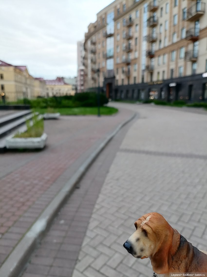 Лурения - Петербург: Отто и июньские цветы - часть вторая