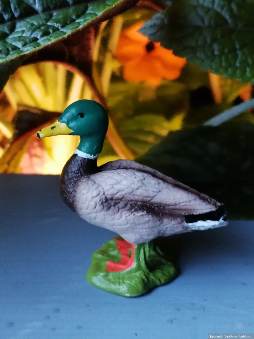 Лурения - Петербург: прогулка с питомцами под дождём